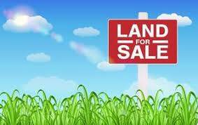 land_for_sale_2.jpg