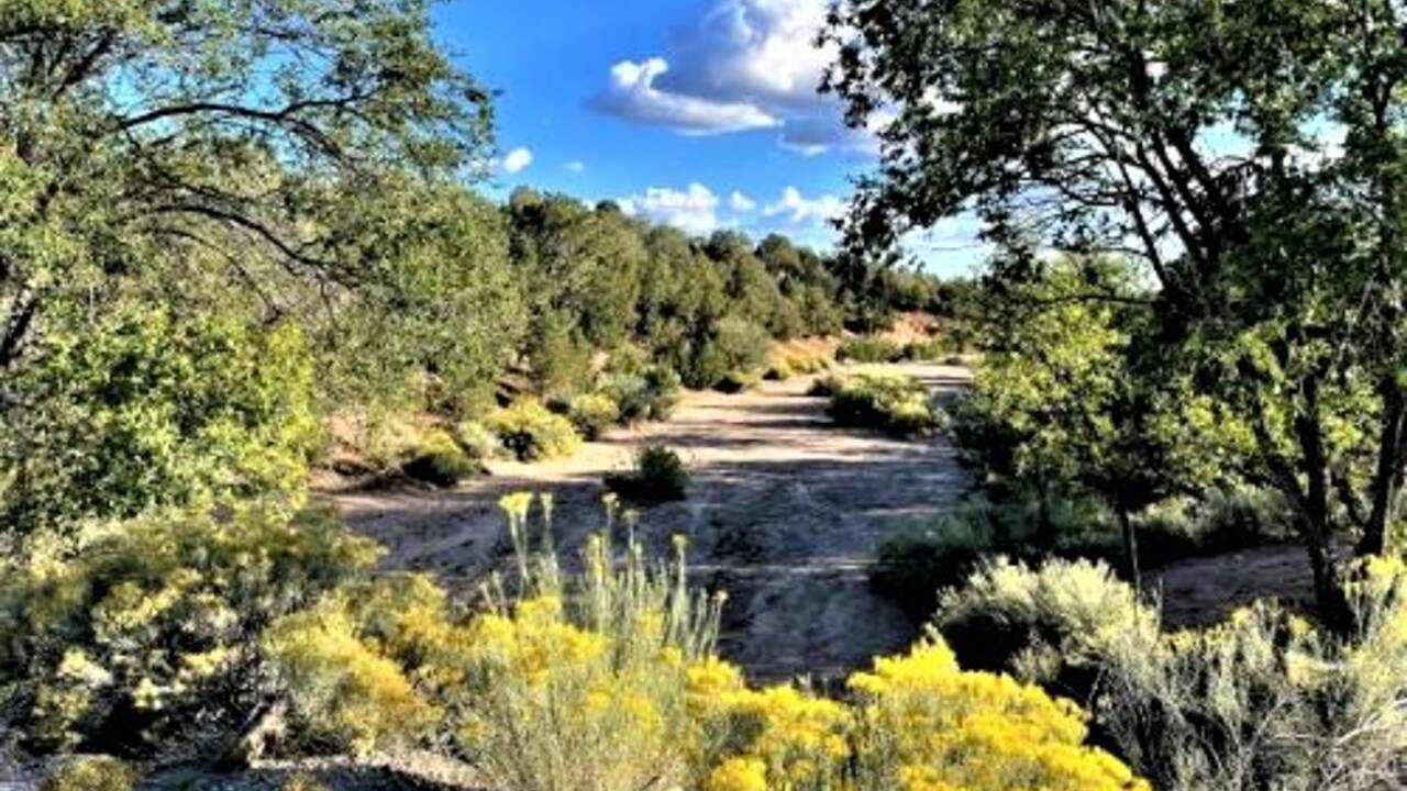 Arroyo FAQ: More Than A Santa Fe Dry Stream