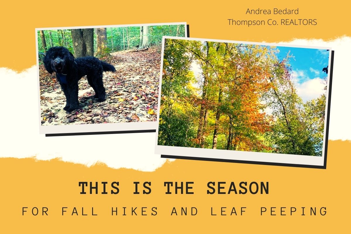This_is_the_season_for_fall_hikes_and_leaf_peeping.jpg