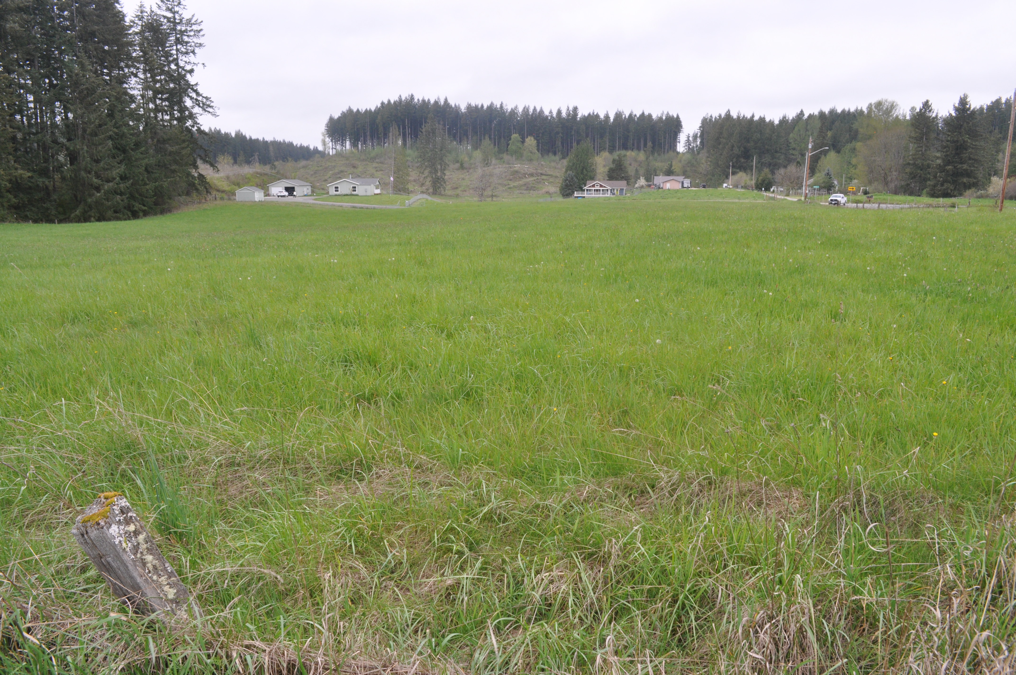 Beautiful 5 Acre Land Property for Sale in Yelm