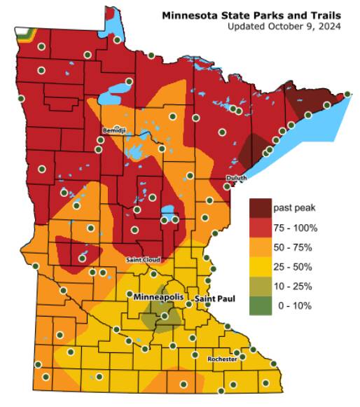 Live Fall Color Map of Minnesota (2024)