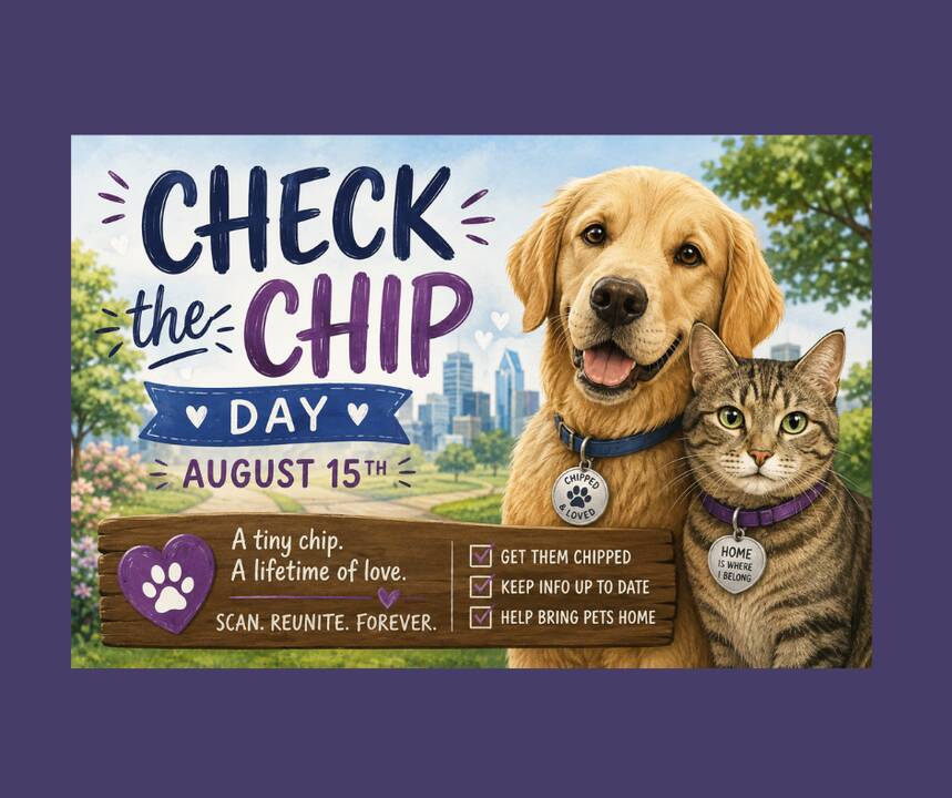 Check_the_Chip_Day_2026.png