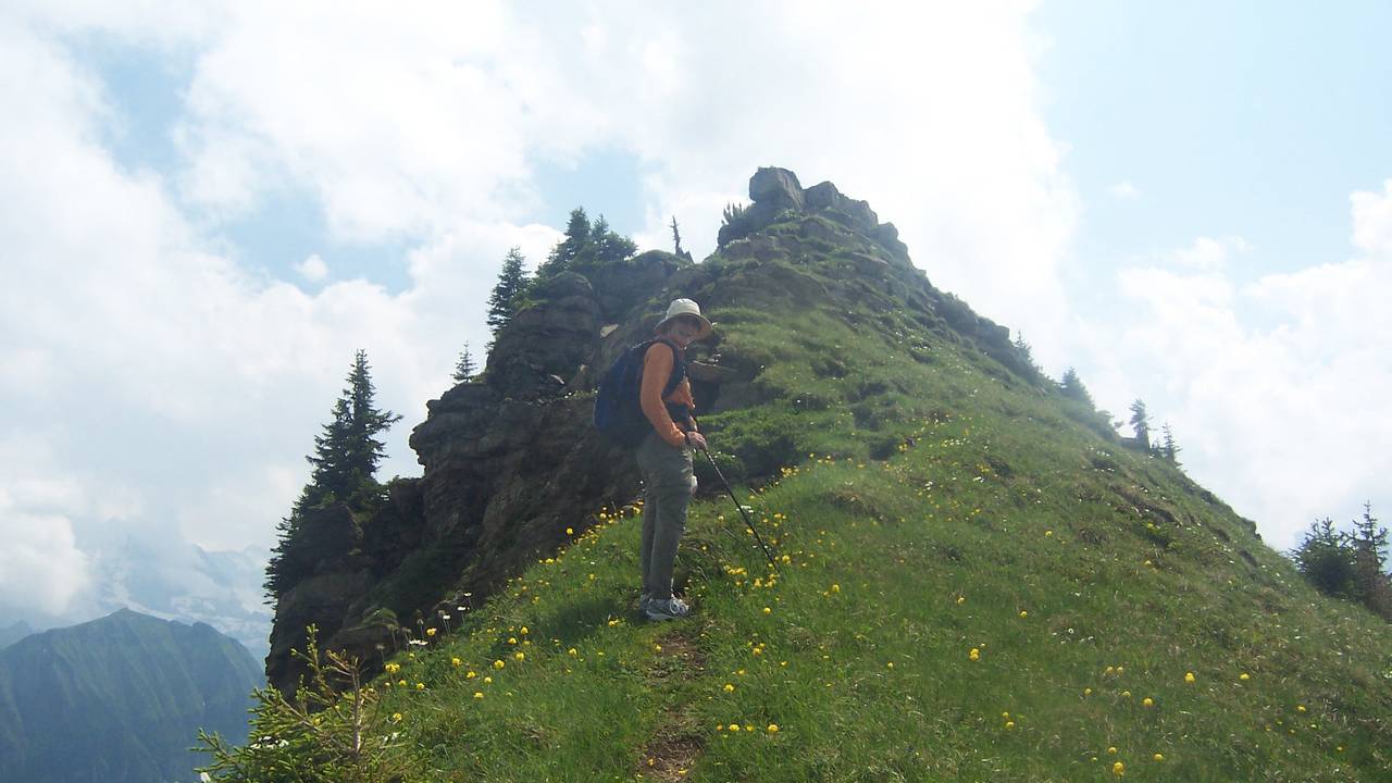 FirsttoSchynigePlatte.jpg
