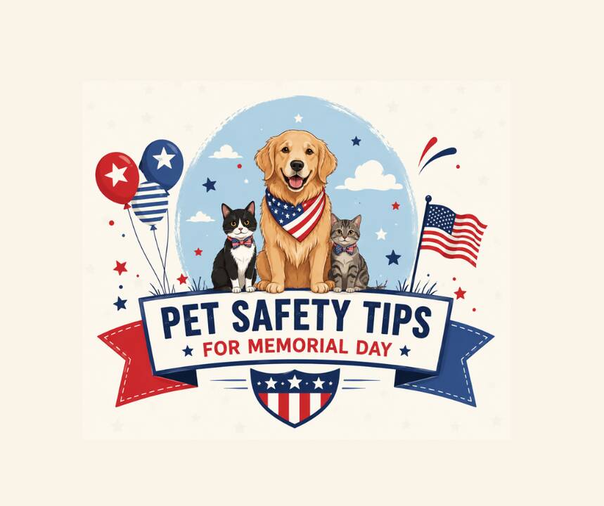 Memorial_Day_Safety_Tips_For_Pets.png