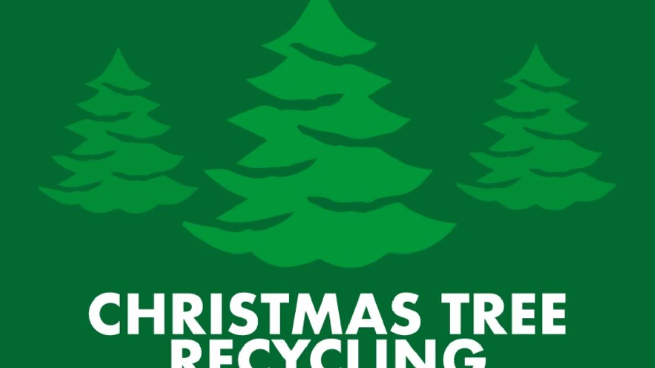 Recycling/Disposing Of Your Christmas Tree In Charlotte