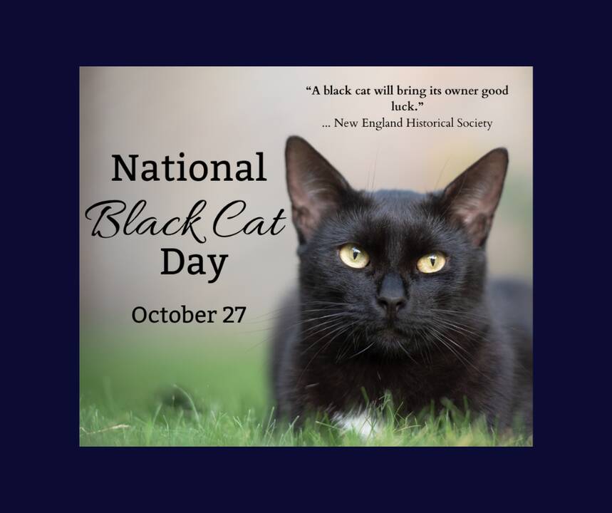 National_Black_Cat_Day_October_27_2025.png