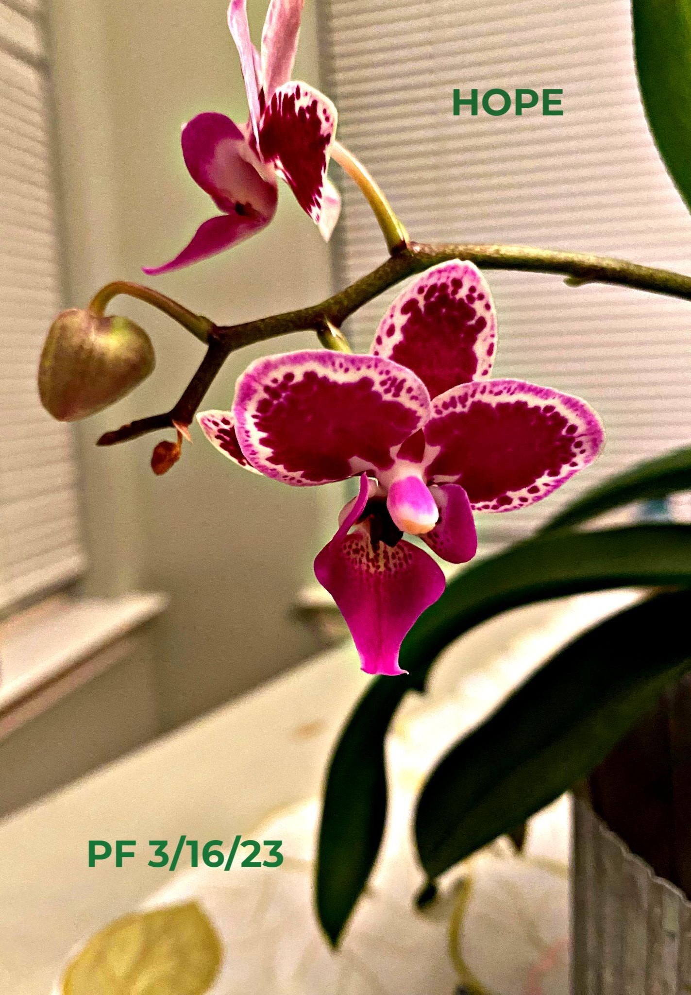 Throwback Thursday Filled With Hope