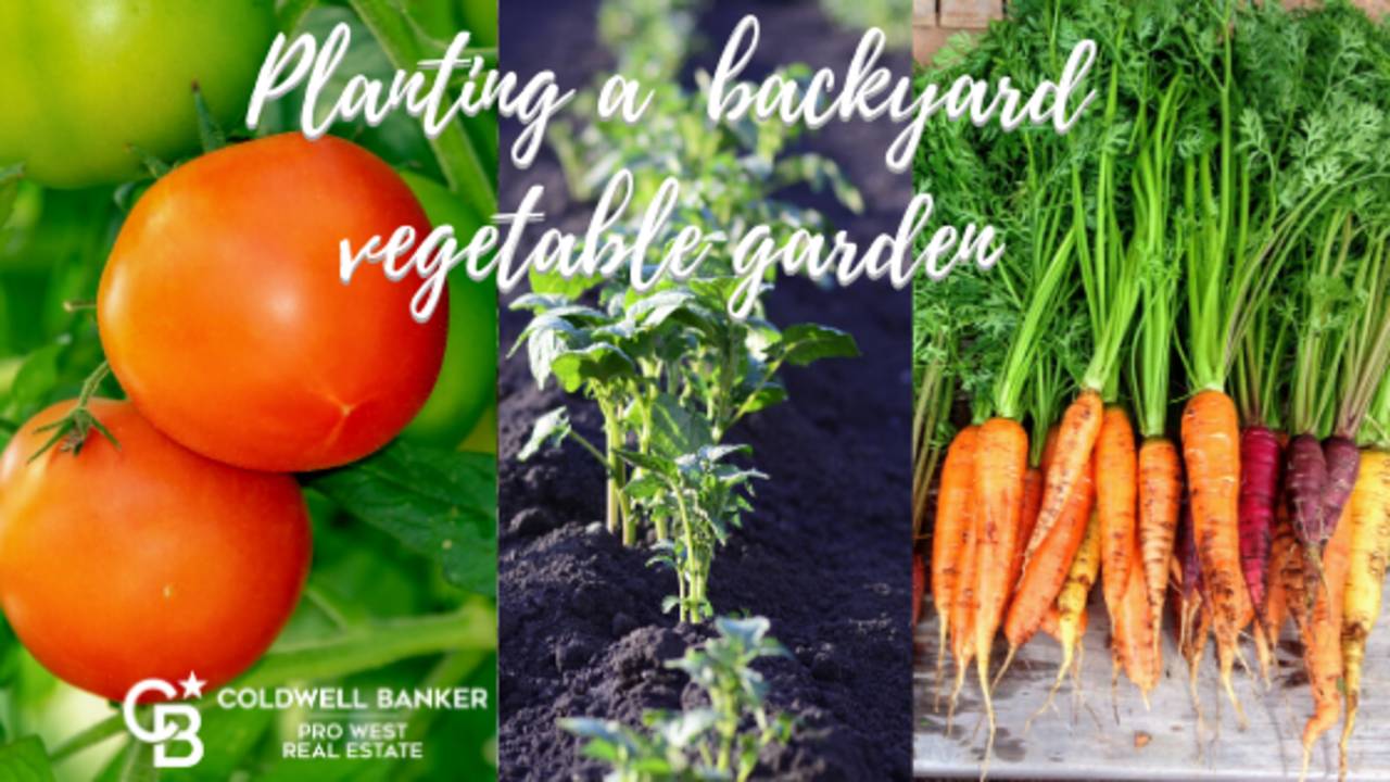 Planting_a_backyard_vegetable_garden.png