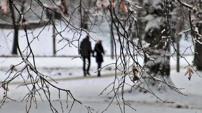 winter-4705390_1280.jpg
