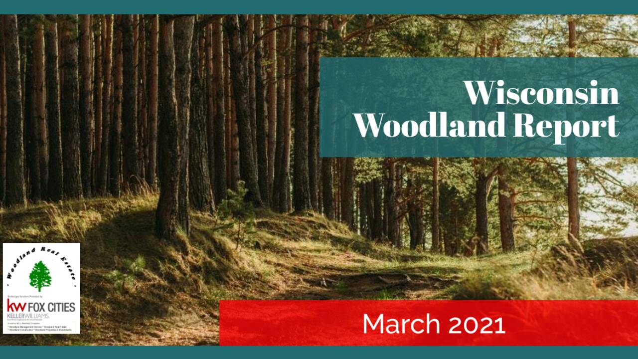 Woodland-Reports-1200x628-layout277-1g5kd5q.png