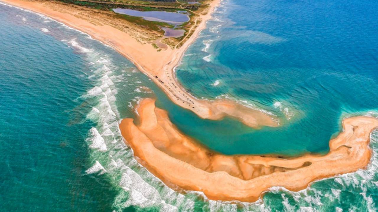 Shelly_Island.png