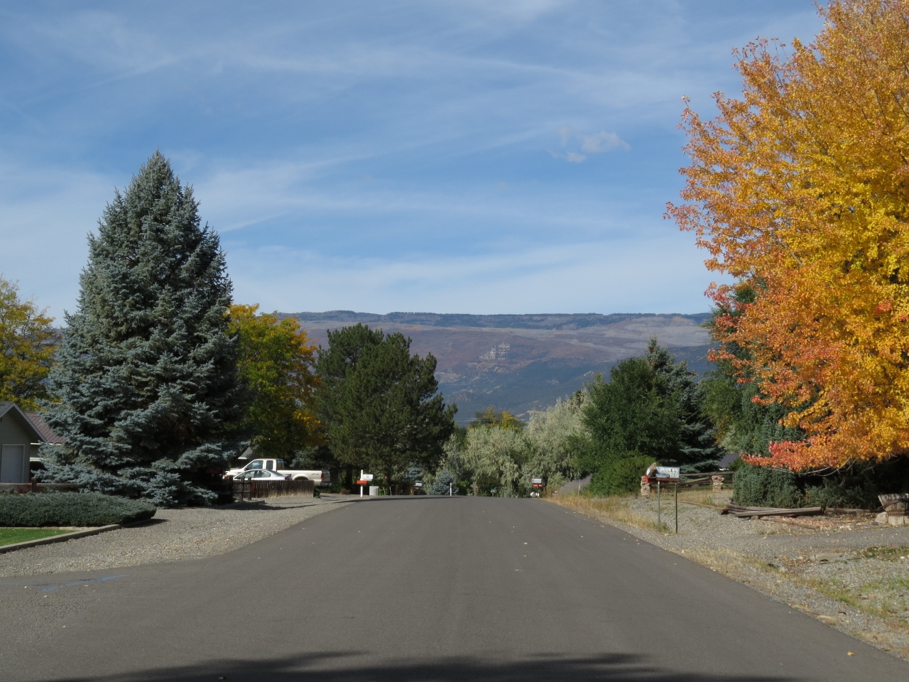 West Ador Cedaredge, CO Real Estate Information October