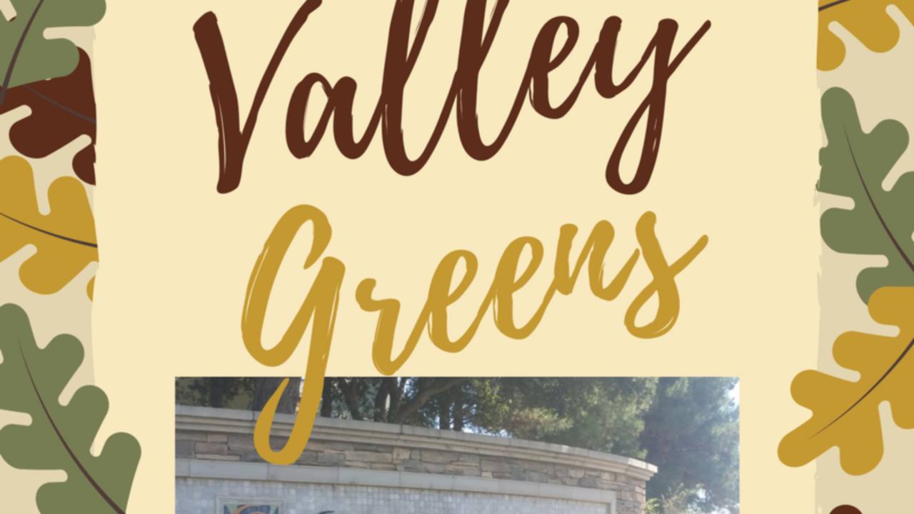 Homes_for_sale_in_the_Oak_Valley_Greens_community.png