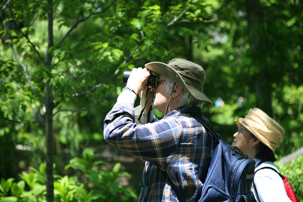 Birdwatching in Southeastern North Carolina