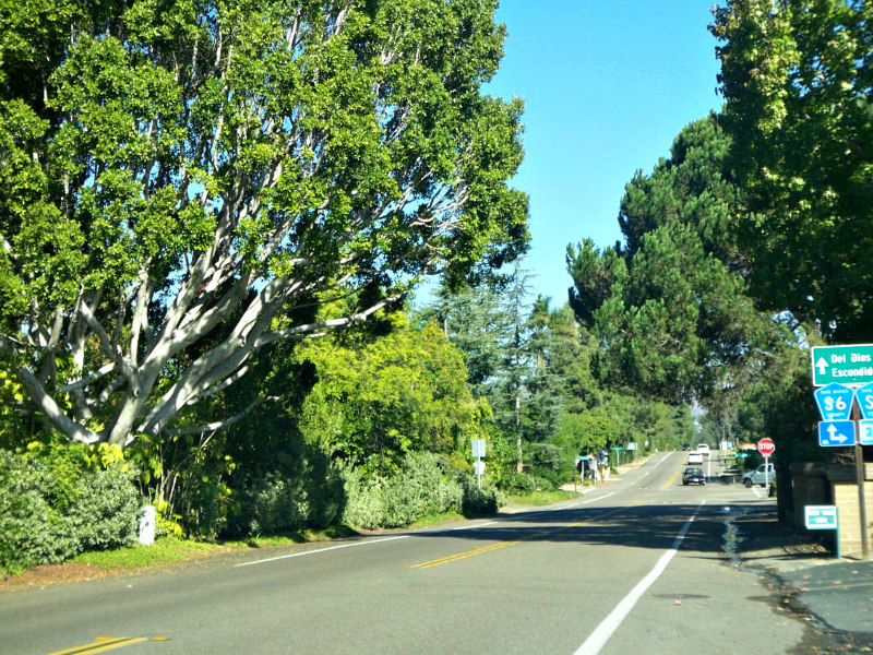 Rural_road_in_Rancho_Santa_Fe.jpg