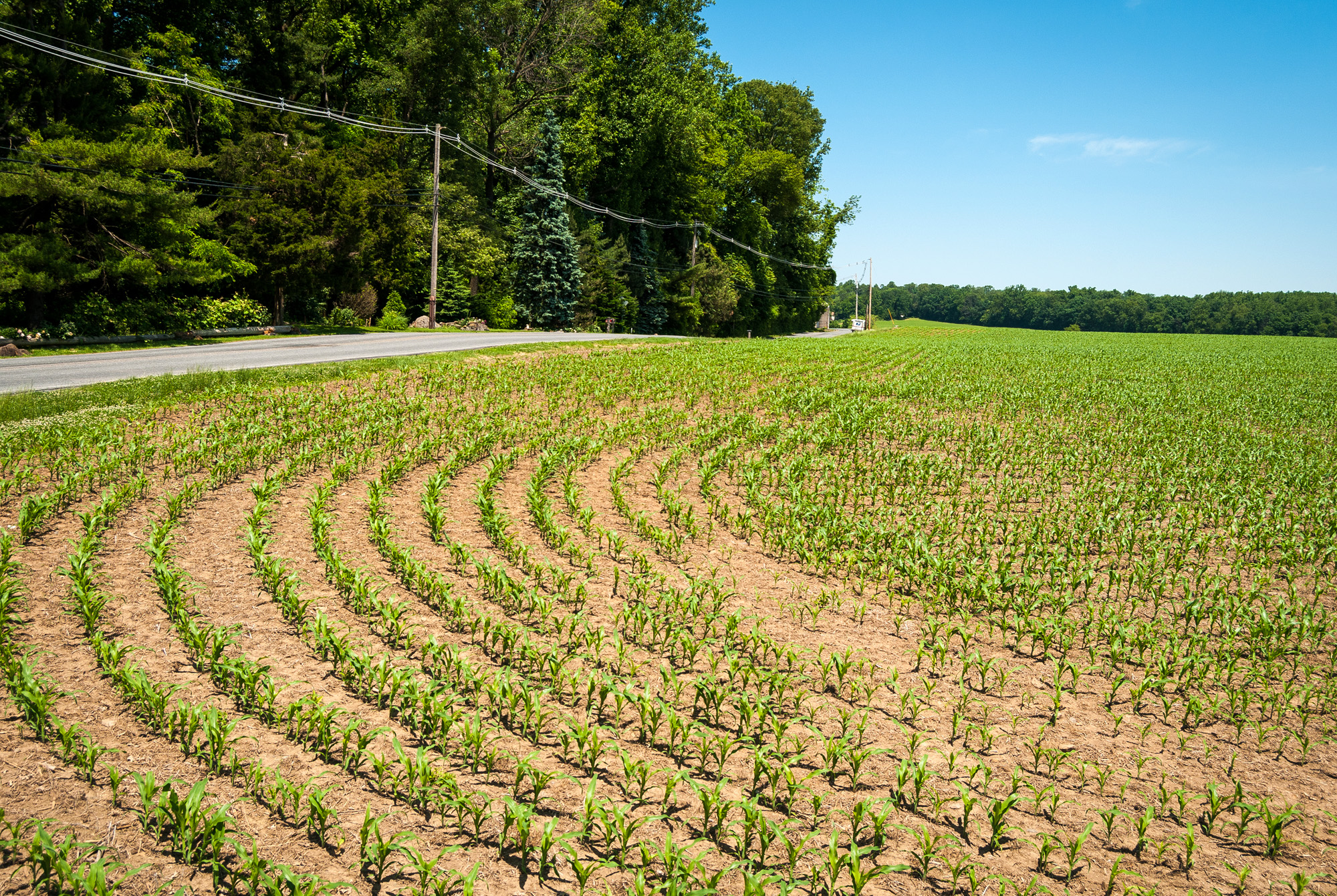 Lots for Sale Near Hershey