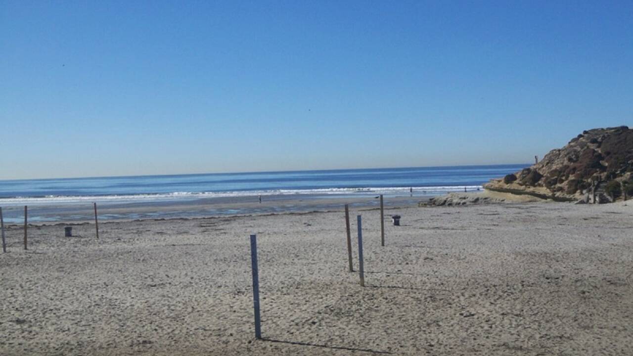 Dog_Beach_in_Del_Mar.jpg