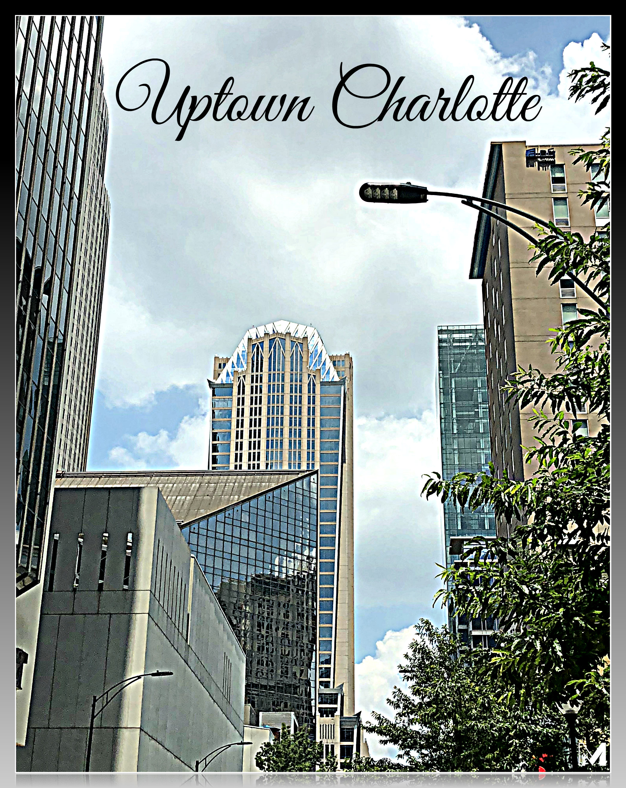 Scooter Sharing in Charlotte