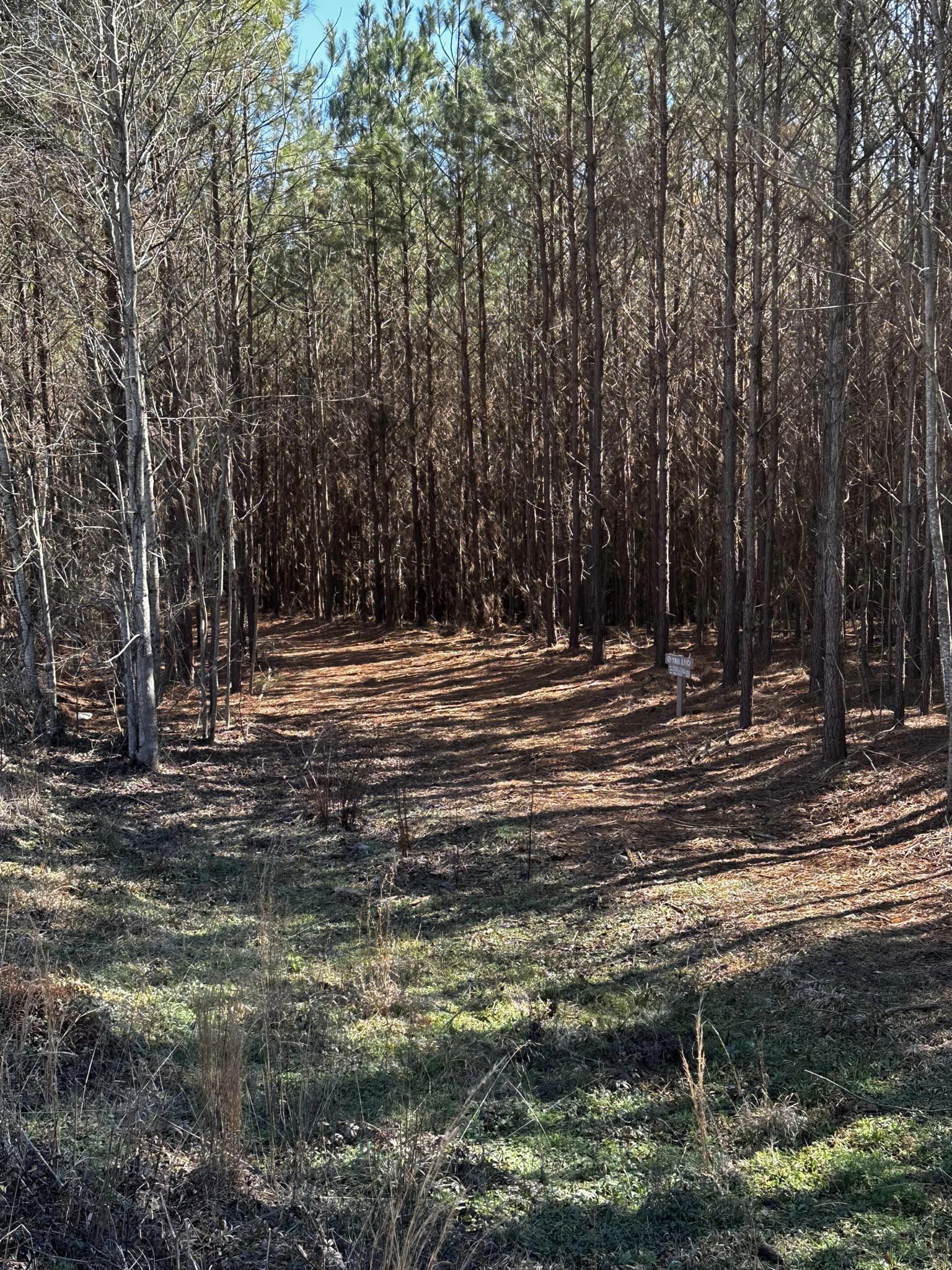 Creekline Trails in Opelika, AL