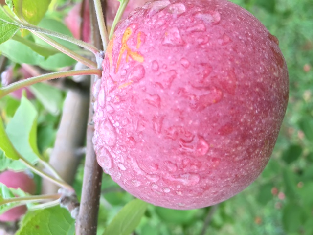 Featured Image