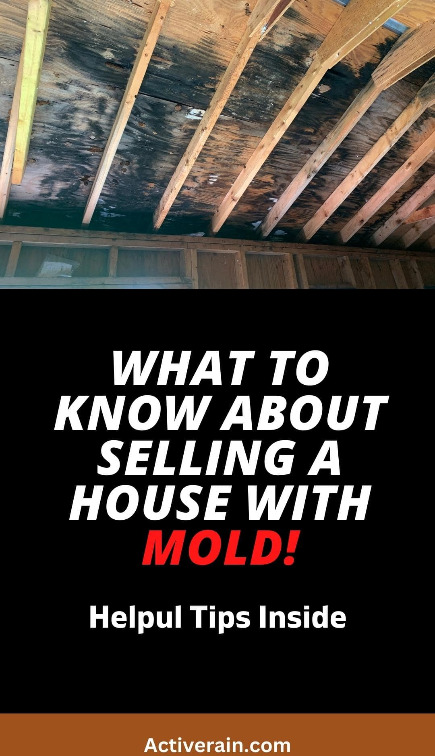 what-to-know-about-selling-a-house-with-mold