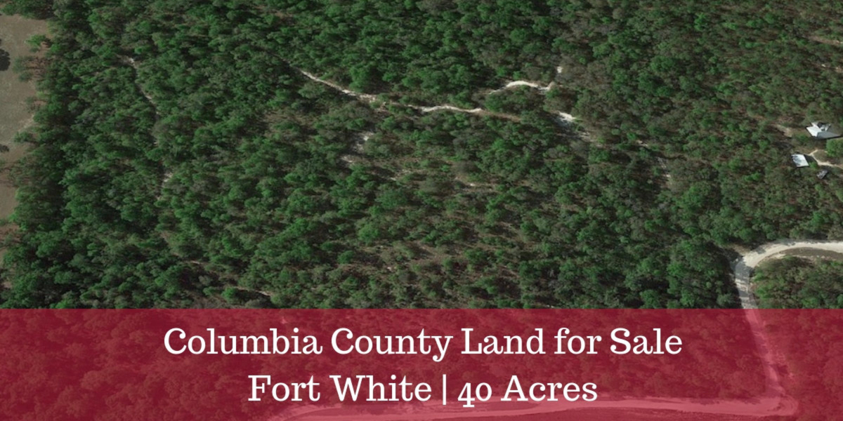 Columbia-County-Land-Sale-Fort_-White-40-Acres-FI.jpg