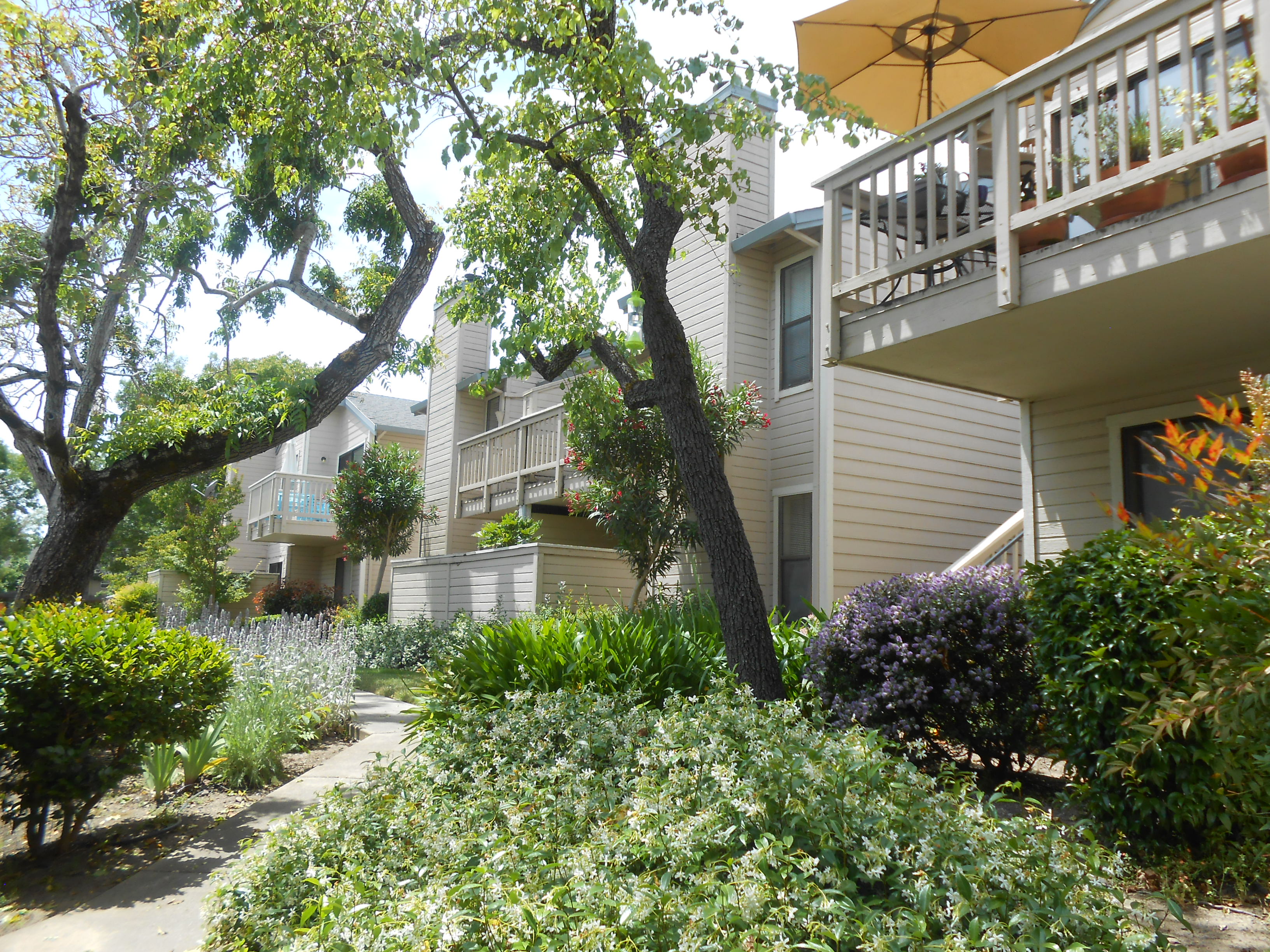 Rincon Valley Condominiums, Mission Lake