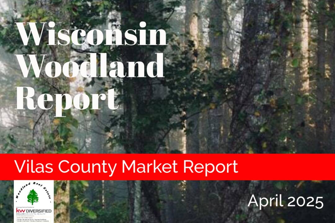 Vilas_0425_Woodland-Reports-1800x1200-layout1775-1jvq7s4.png