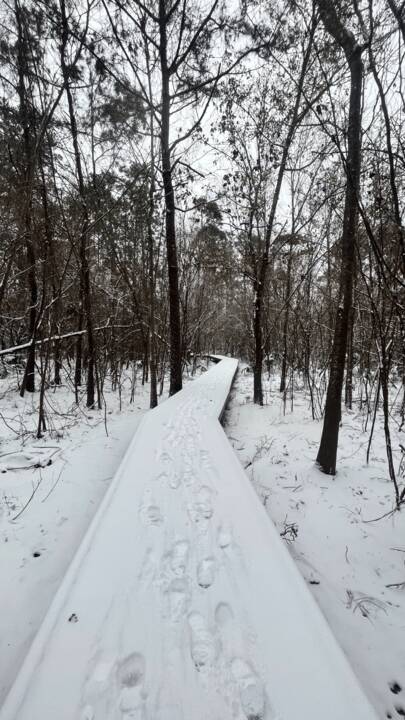 East_End_Park_Kingwood_Texas_Snow_January_2025_Jeremy_Williams_Red_Hawk_Property_Team_JLA_Realty_Red_Hawk_Coaching.png