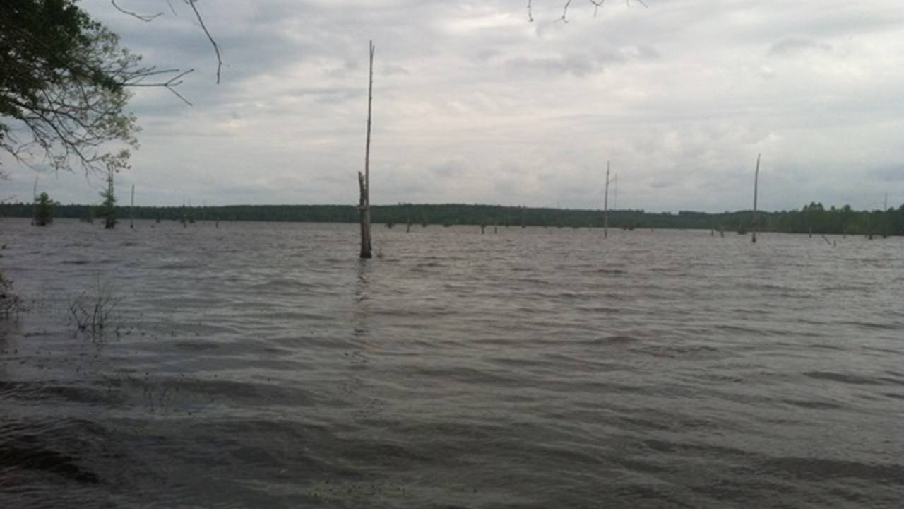 Sandfield_Road_Lake_DArbonne.jpg