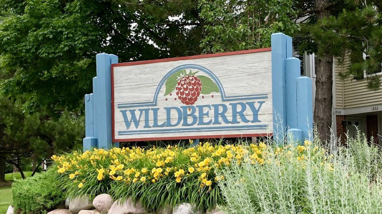 Wildberry.jpg