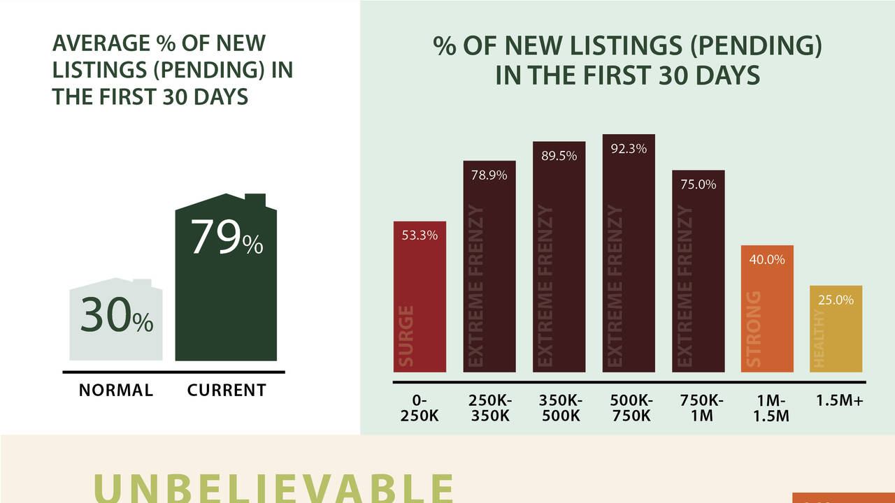 March_Whatcom_County_Social_Housing_Update_2022.jpg