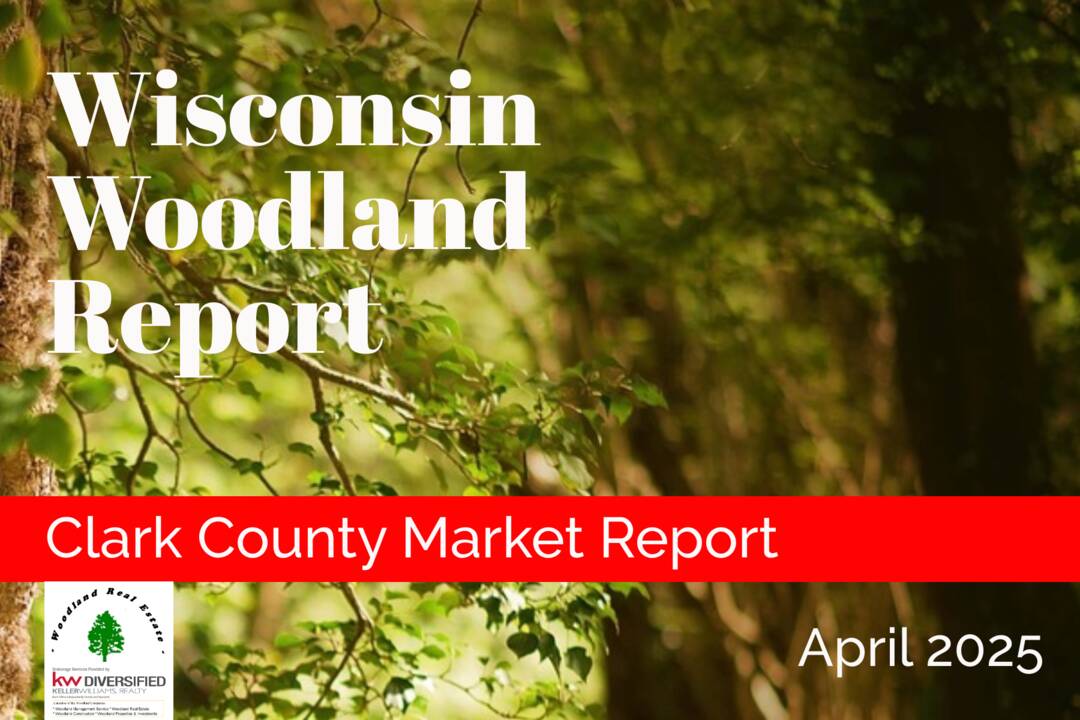 Clark_0425_Woodland-Reports-1800x1200-layout1775-1jvq9mk.png