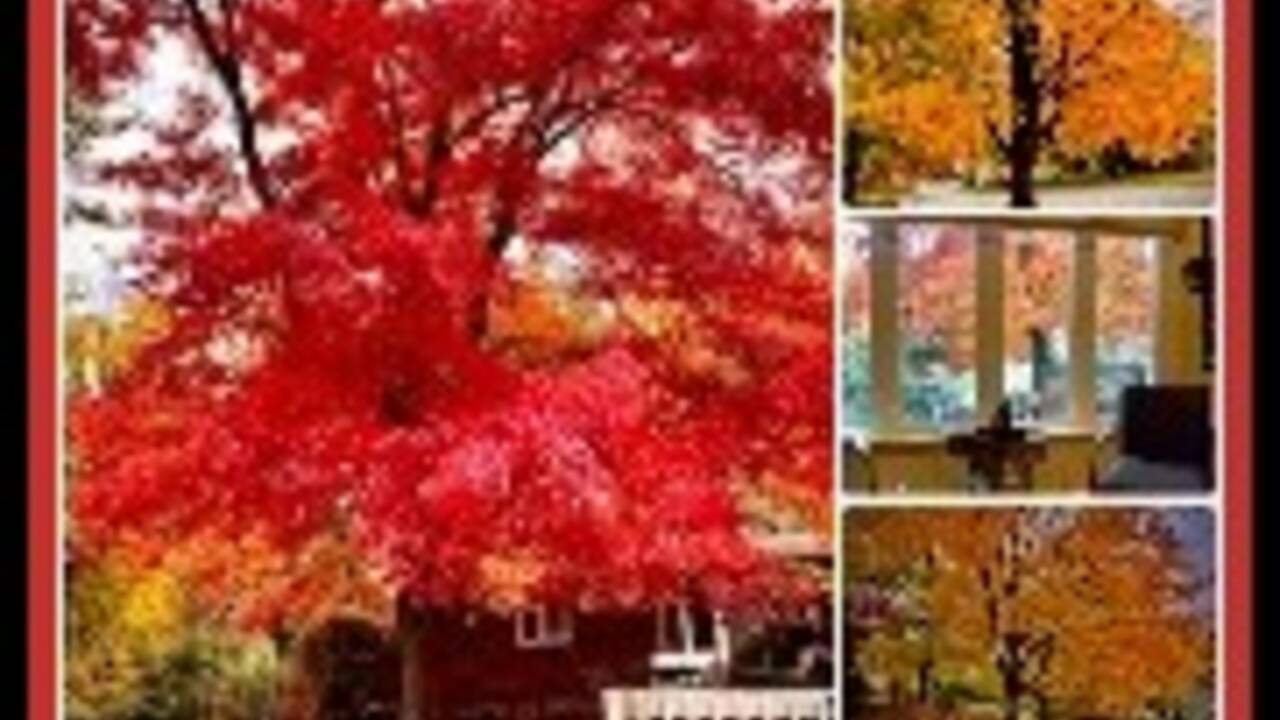 Why We Call It Fall