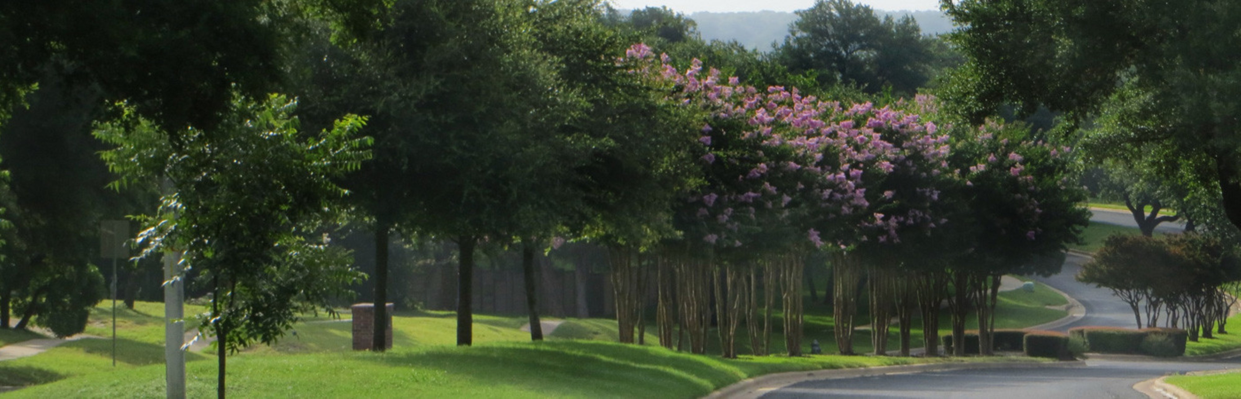 Too Late! 10700 Chesnut Ridge SOLD in Canyon Creek