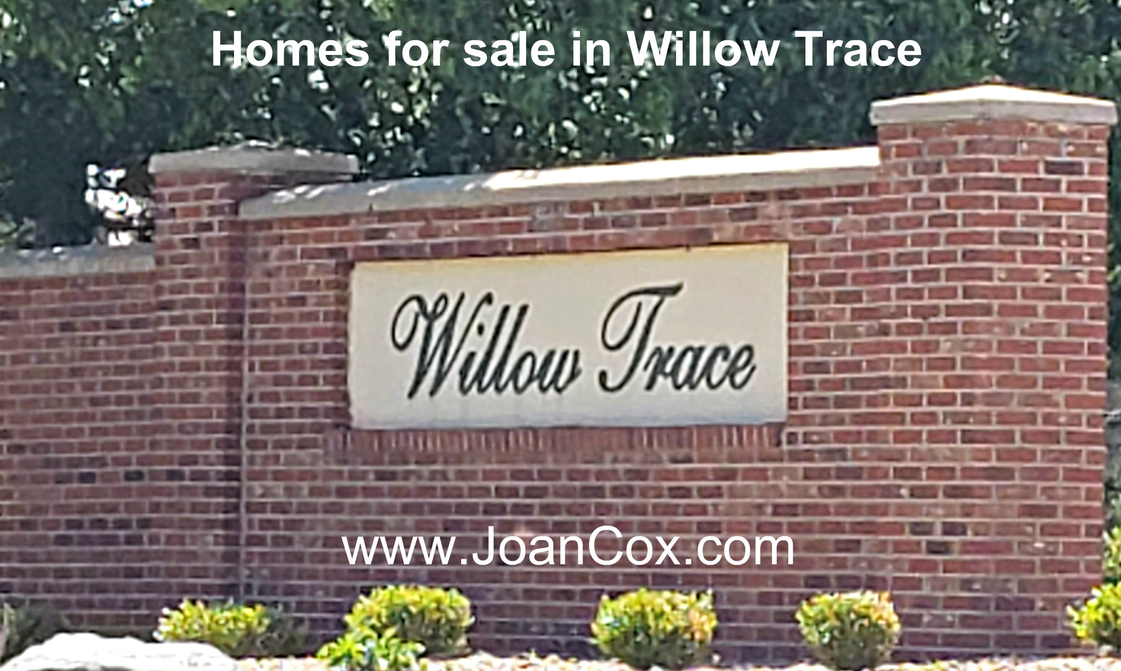 Neighborhood of Willow Trace (Aurora CO) saw only 6 day