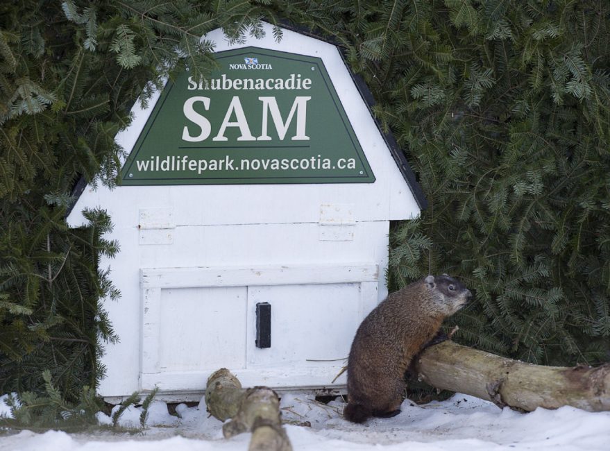 Homes For Sale Near Shubenacadie Nova Scotia