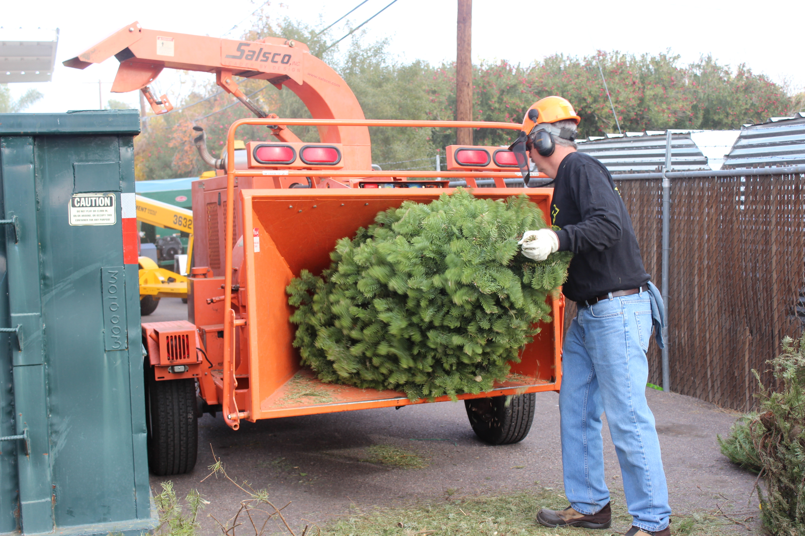 Recycling Your Christmas Trees in Phoenix