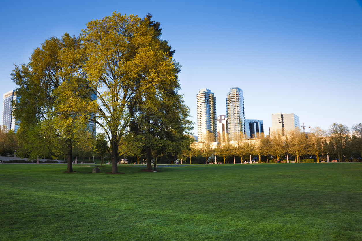 Bellevue Condos and Townhomes for Sale