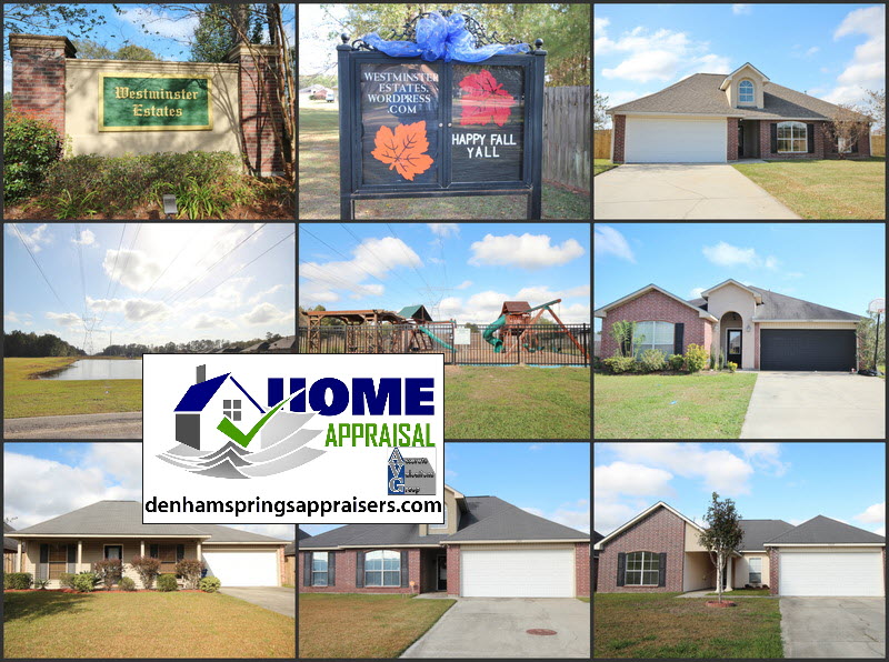 Westminister Estates Denham Springs Home Prices 2020