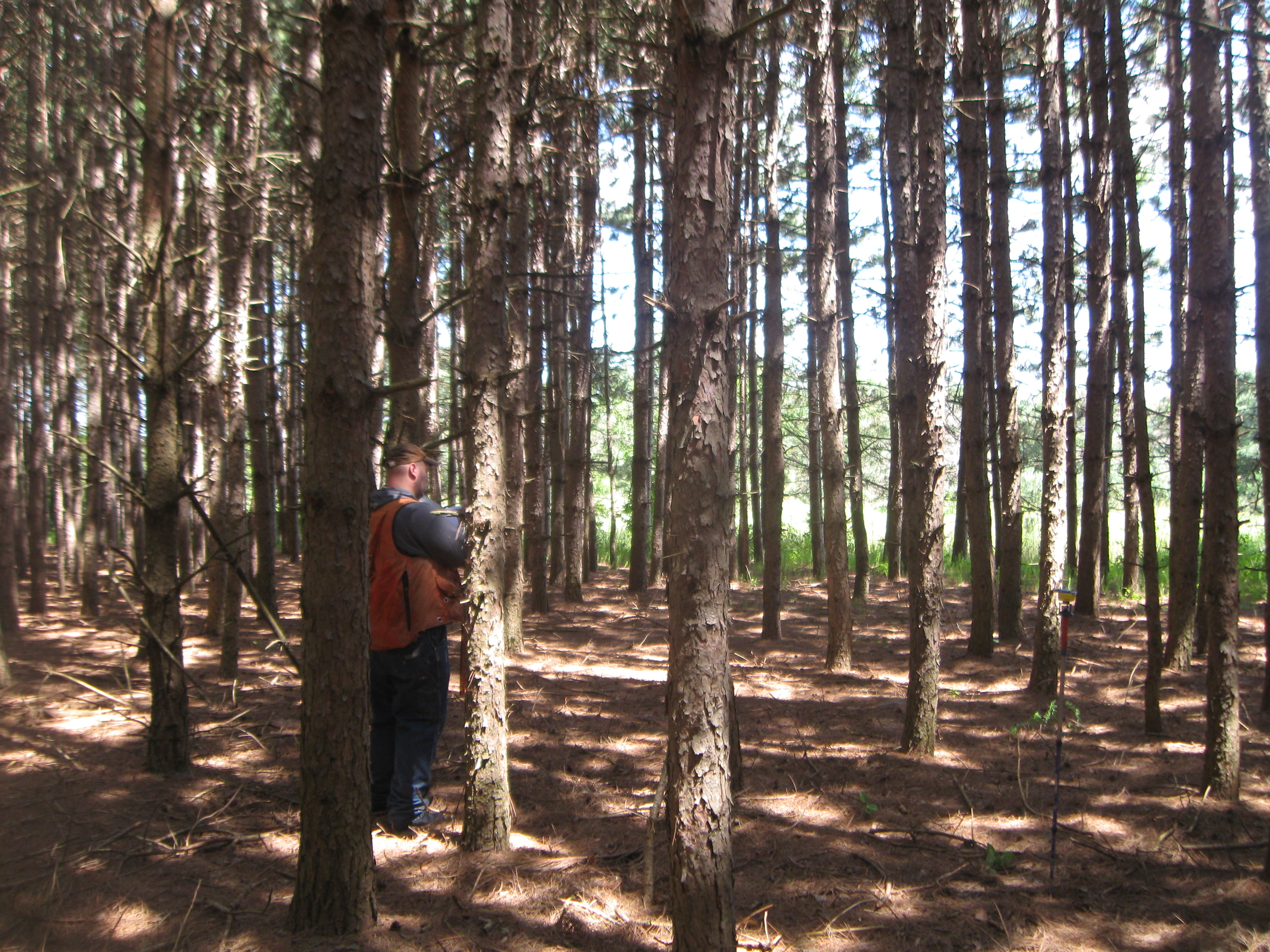 The Woodland Report Adams County; Hunting, Timber, In