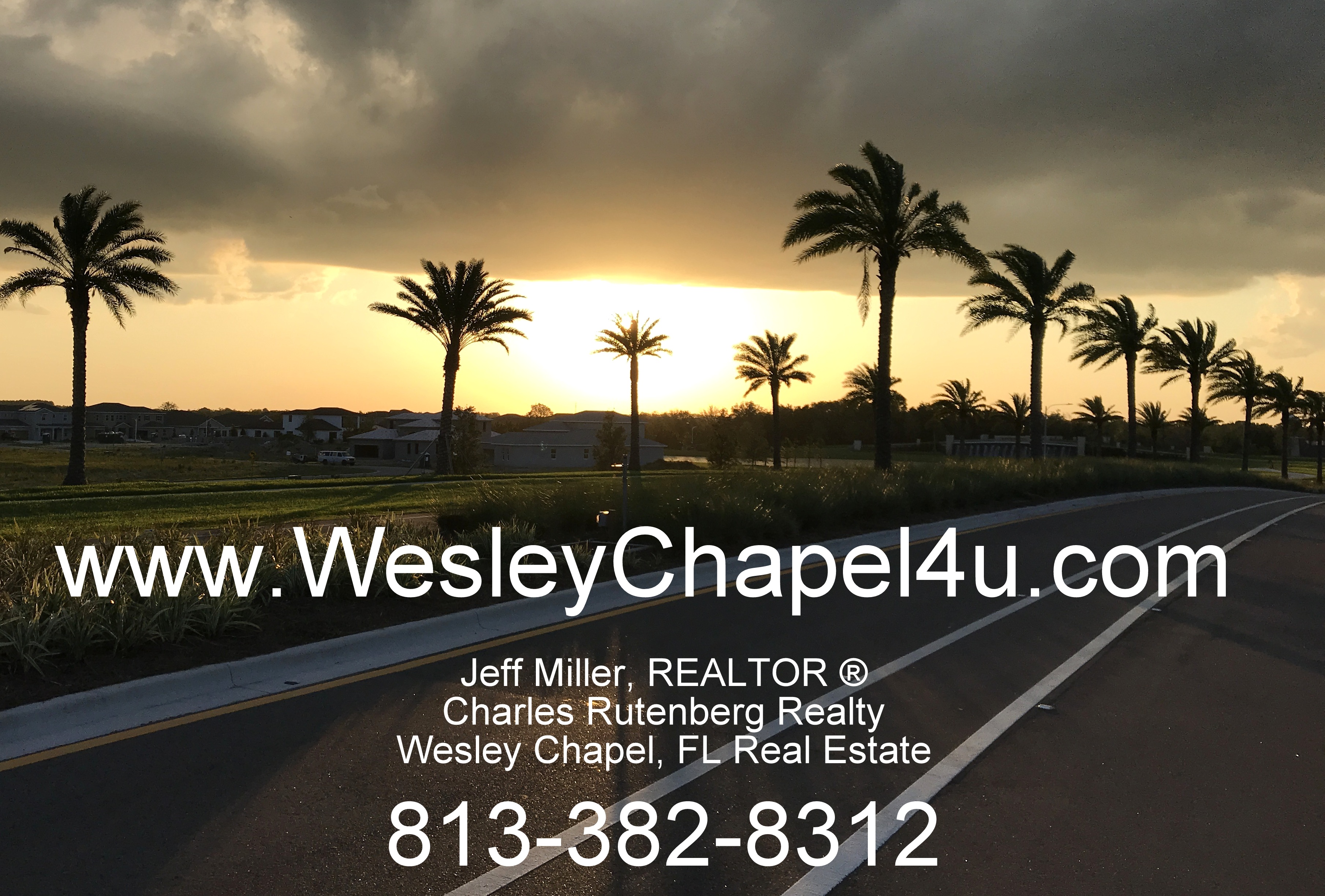 Wesley Chapel, Florida Homes for Sale December 20 2019