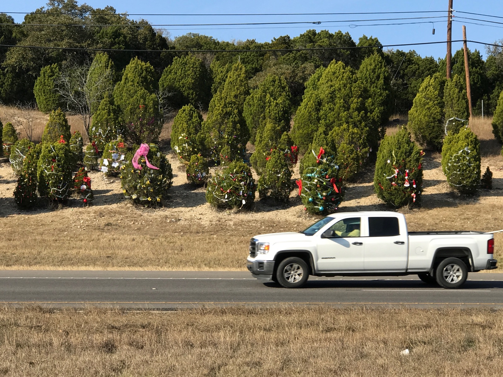 Christmas, Austin Style!