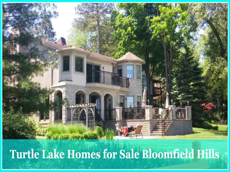 Turtle Lake Homes for Sale Bloomfield Hills