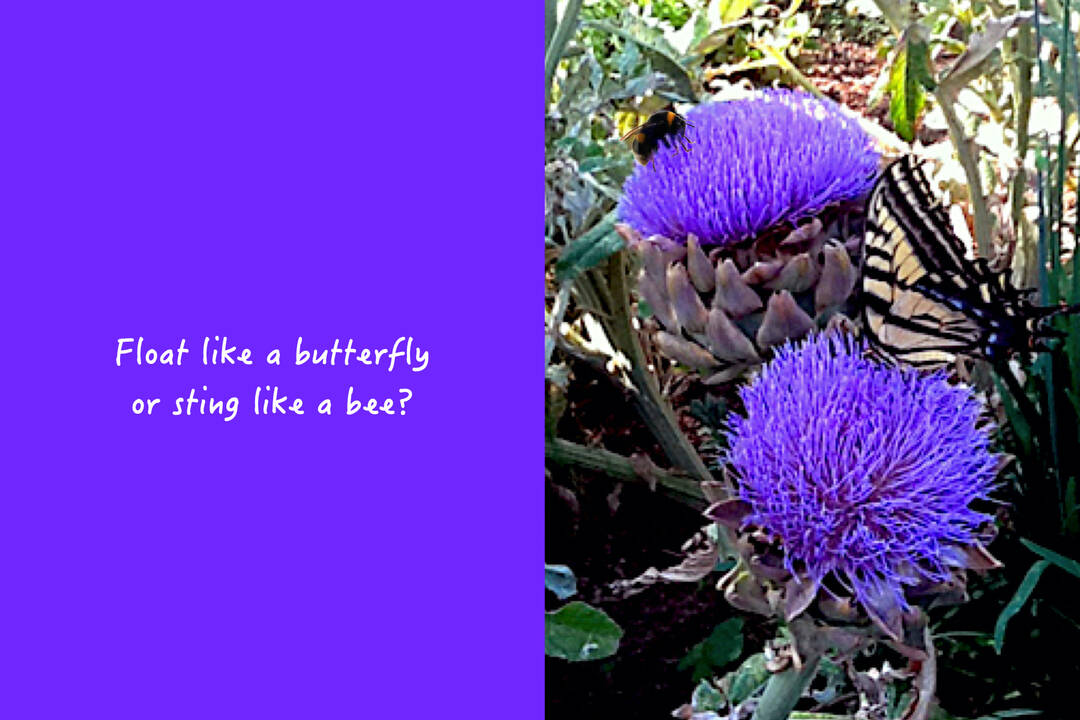 The Bumble Bee And Butterfly