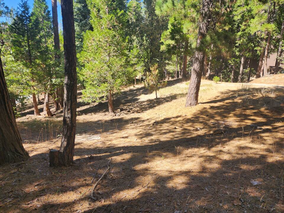 20260901_150135.jpg