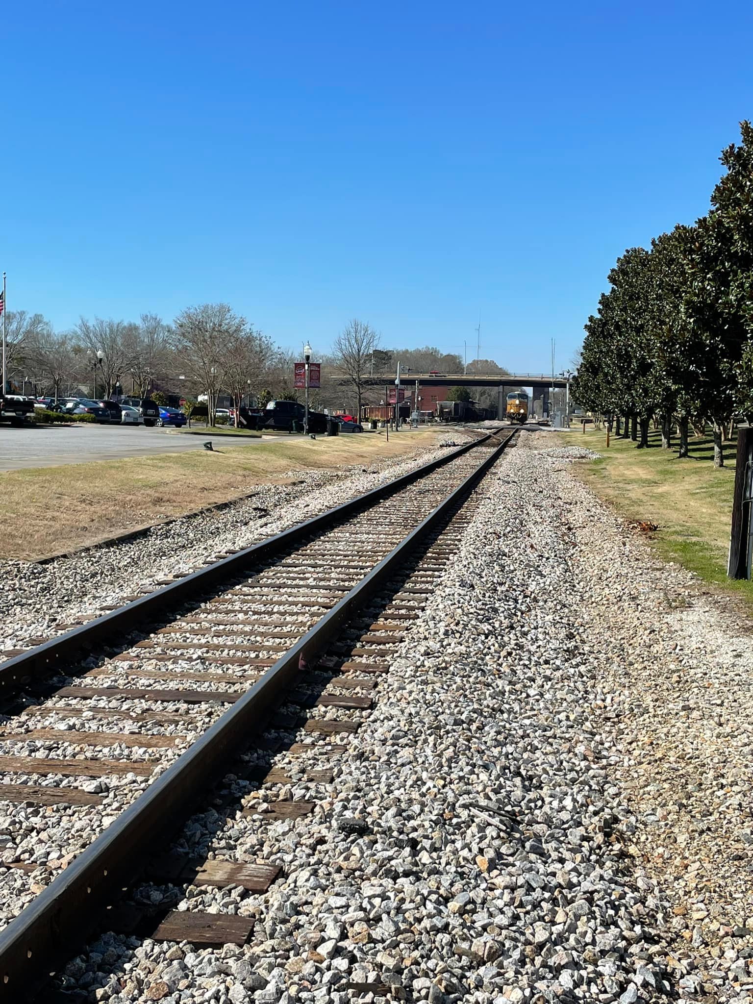 Food Truck Friday in Downtown Opelika