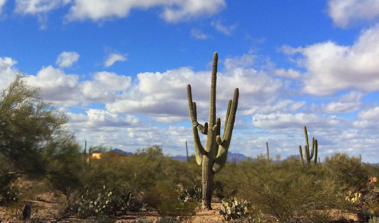 Rural_Marana_2.jpg