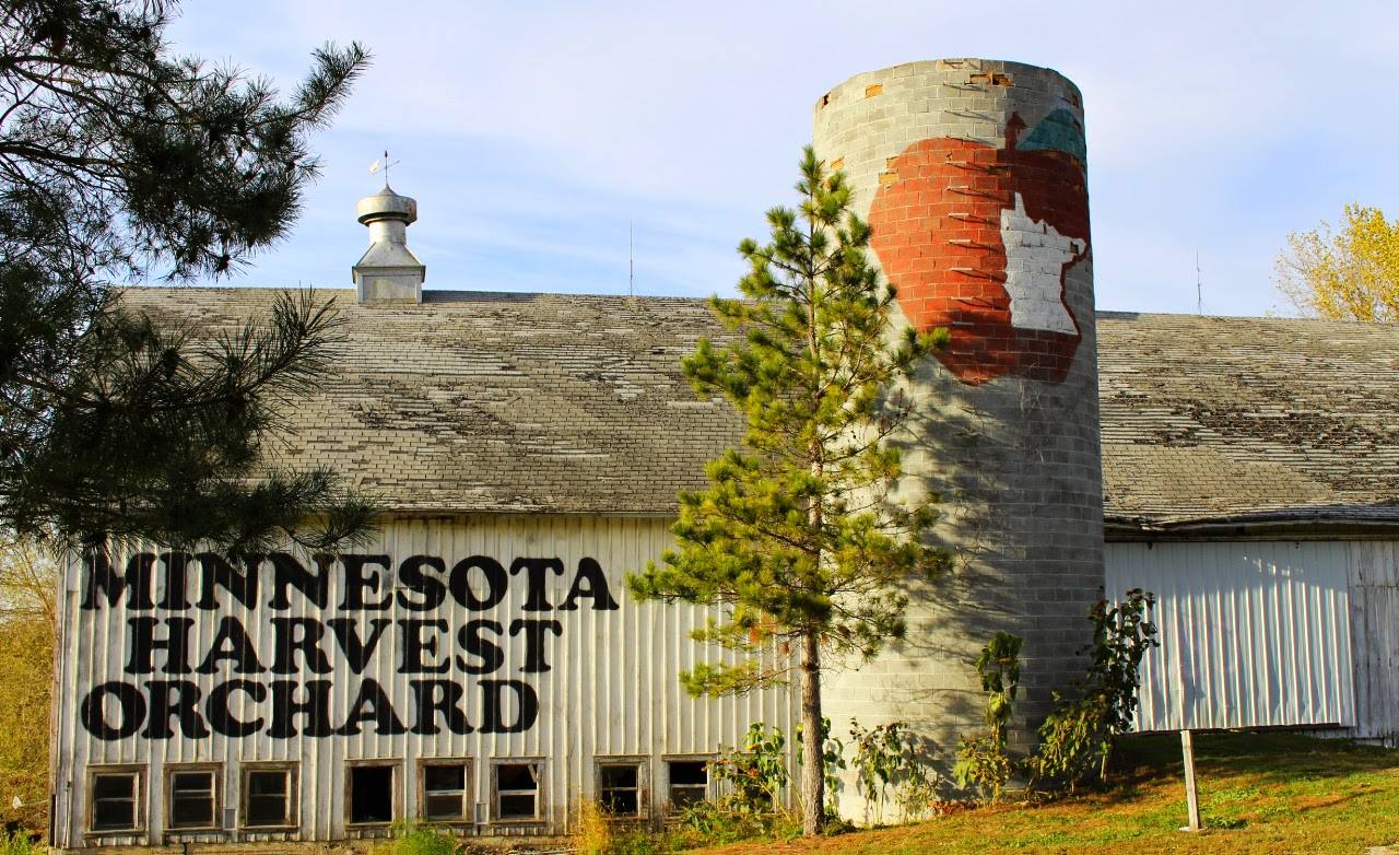 Apple Canon launchers at Minnesota Harvest