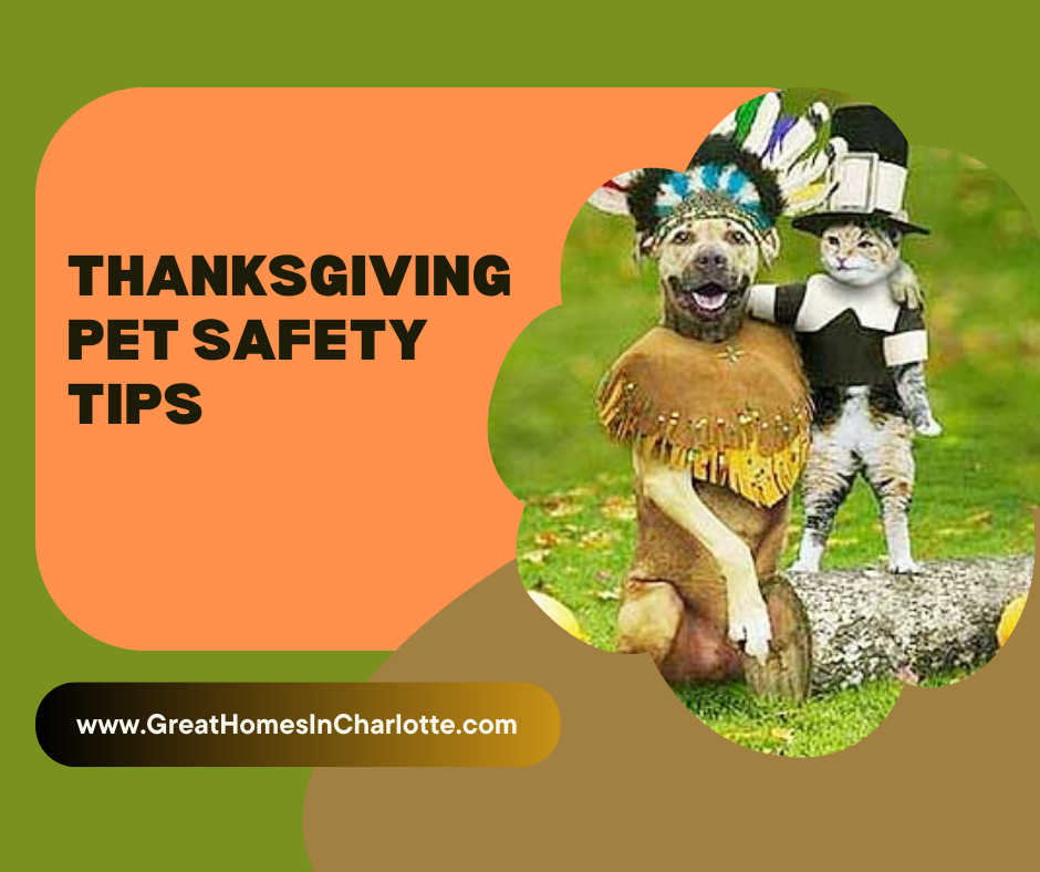 thanksgiving_pet_safety_tips.png
